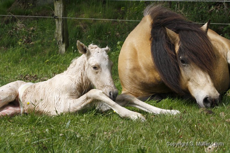 Hjoerdis 15 Min alt (4).JPG